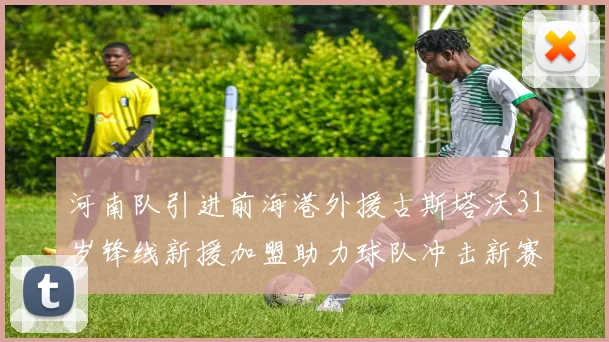 河南队引进前海港外援古斯塔沃31岁锋线新援加盟助力球队冲击新赛季