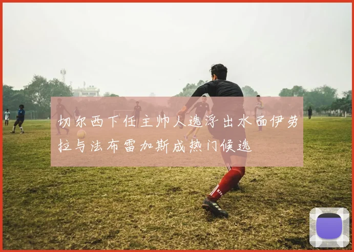 切尔西下任主帅人选浮出水面伊劳拉与法布雷加斯成热门候选
