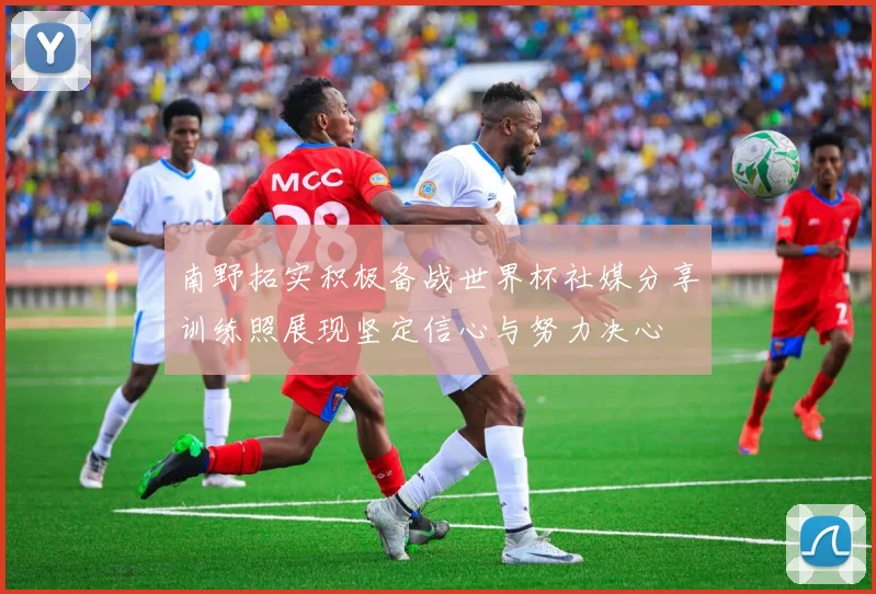 南野拓实积极备战世界杯社媒分享训练照展现坚定信心与努力决心